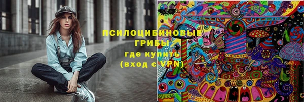 молекула духа Горно-Алтайск