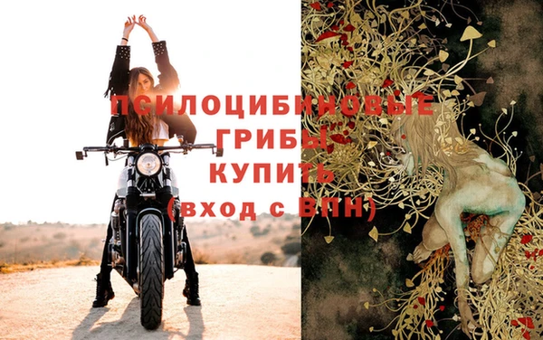 молекула духа Горно-Алтайск