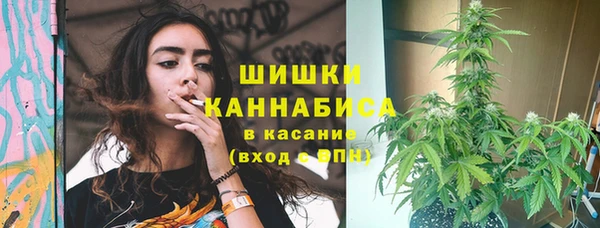 альфа пвп Горнозаводск