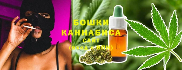 молекула духа Горно-Алтайск